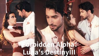 Girl was heartbroken by scumbag's doubts and betrayal,but alpha fell in love with her at first sight