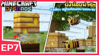 ผึ้งน้อยน่ารัก ตัวเล็กๆอยู่ในเรือนกระจก | Minecraft ฮาร์ดคอร์ 1.17 (EP7)