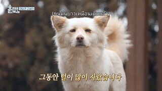 Hyori Bed And Breakfast Season 2 Episode 04