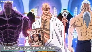 Tất Tần Tật Về Người Sử Dụng Trái Ác Quỷ Nika- Thái Dương Thần Luffy-P2