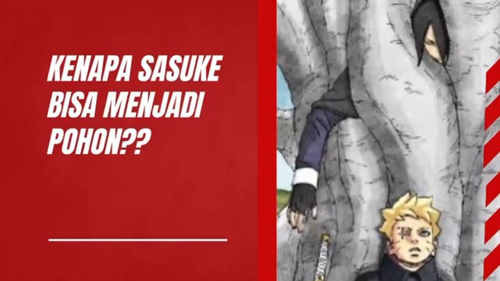 Kenapa Sasuke bisa menjadi pohon??