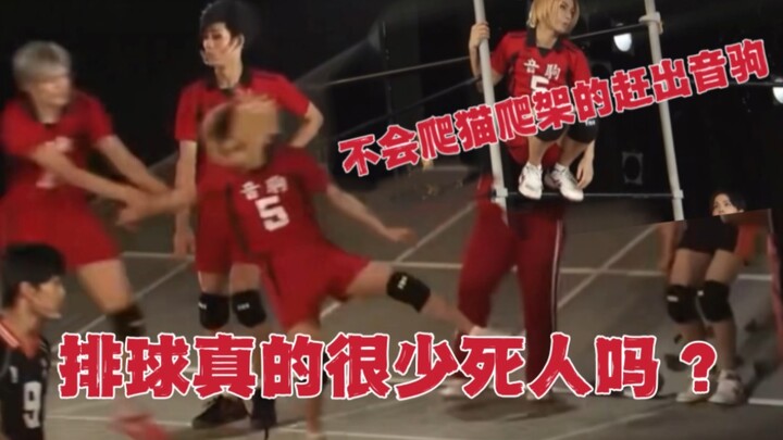 Volleyball Youth Stage Play | Grinding Passion ➕ Yinju Cat Climbing Frame | Junkyard Showdown Yinju 