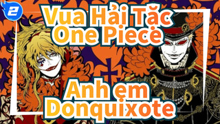 Vua Hải Tặc One Piece| [Ăn mừng sinh nhật] Anh em _2