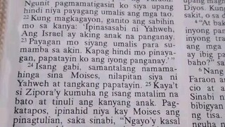 Pang Araw Araw na Talata.               Exodus 4:21-23