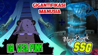 INILAH MEGA PROYEK DR.VEGAPUNK!! SSG YANG BERWUJUD GIGANTIFIKASI MANUSIA (SUPER SCIENCE GIANT)