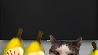 When you go to your girlfriend's house for the first time #CatMeme #AgainstTheSky #NeverExpected