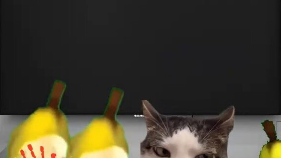 เมื่อคุณไปบ้านแฟนครั้งแรก #CatMeme #AgainstTheSky #NeverExpected