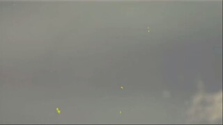 Aa 5-7