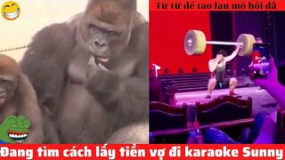 Những đứa con thất lạc của thần biển #3 / Đang tìm cách lấy tiền vợ đi karaoke Sunny