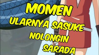 pertemuan sarada dan aoda 🐍🥳