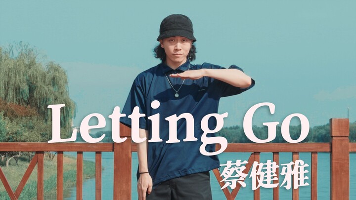用埃及手跳蔡健雅的《Letting Go》