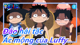 [Đảo hải tặc]Ác mộng tuổi thơ của Luffy; Tình cảm đặc biệt từ Garp_2