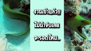 รวมคลิป Fail พากย์ไทย 69