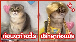 รวมคลิปตลกๆ : ก่อนจะทำอะไร…ปรึกษากันก่อนไหมมานุด!!