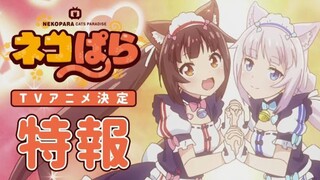 Ep11 - Nekopara (TV)