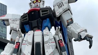 Shanghai Freedom Gundam 5pm