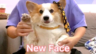 皮老板热舞丨New Face