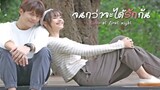 Upcoming thai drama love at first night