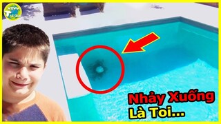 7 Con Vật Đáng Sợ và Nguy Hiểm Nhất Được Phát Hiện Trong Bể Bơi Khiến Chủ Nhà Sợ Chạy Mất Dép