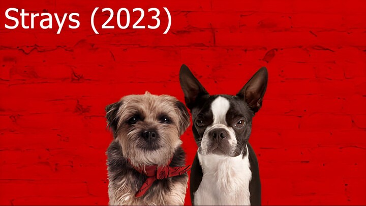 Watch Strays 2023, Full HD Movies 2023