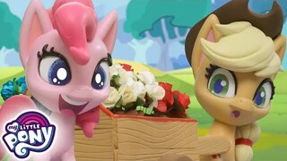 My Little Pony bahasa Indonesia 🦄 Pinkie Pie dan bunganya | kartun