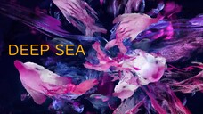 Deep Sea(Eng Sub)