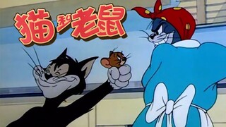 【大橙子】不会抓老鼠的黑猫不是好猫