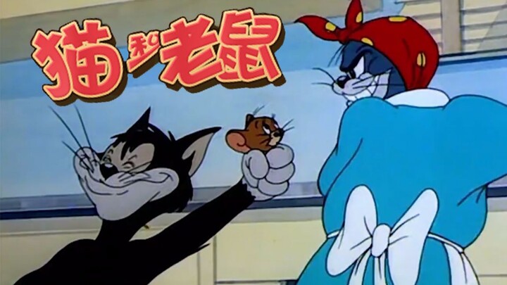 【大橙子】不会抓老鼠的黑猫不是好猫