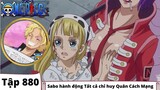 One Piece Tập 880 | Sabo hành động Tất cả chỉ huy Quân Cách Mạng | Tóm Tắt Anime (AMV)