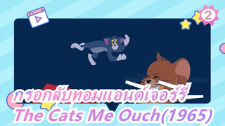 ทอมแอนด์เจอร์รี่|จะเกิดอะไรขึ้นเมื่อกรอกลับ?The Cats Me Ouch(1965)_2