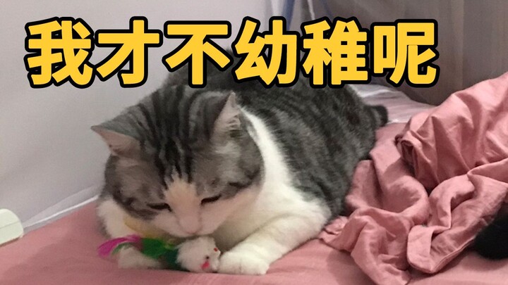 笑死：猫咪独处时超幼稚，一有猫过来就装正经