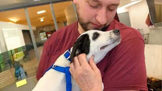 When the Dog at the adoption center chooses you ❤️