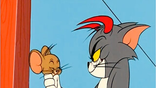 Mèo và Chuột: Câu chuyện về tình địch vĩnh cửu!