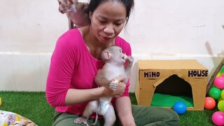 Mom Feed Apple Fruit For Both Lovely Liheang & Sono - Liheang Look So Happy Playing