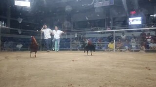 first fight win
