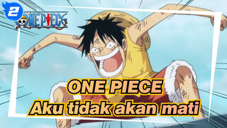 ONE PIECE|[MAD]Ace:Maaf Luffy, Aku bilang aku tidak akan mati_2