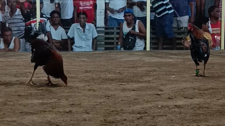 FAST KILL SABUNGAN NG MASA BURGOS ISABELA