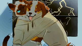 【furry】猫猫狗狗