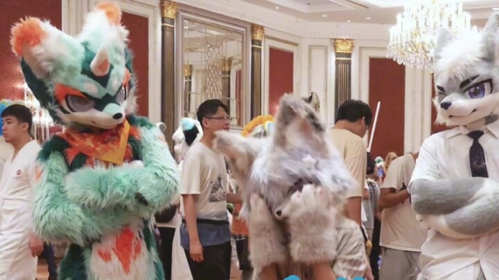 โอ้ ฉันอายมากที่จะเจอพวกคุณ