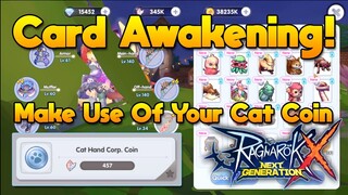 Make Use Of Your Cat Coin To Improve Your Card Awakening & Get Stats [ROX]