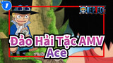 Đảo Hải Tặc AMV
Ace_1