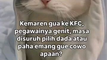 Cewek genit