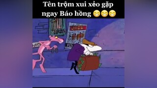 fypシ báohồng phimhoathinh thepinkpanther