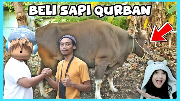 Aku Dan Adiku Beli Hewan Sapi Qurban Idul Adha 2024