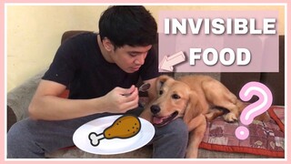 INVISIBLE FOOD CHALLENGE and TIKTOK COMPILATION (Golden Retriever, Beagle and Aspin) | Philippines