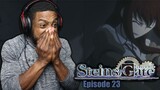 Not Giving Up Yet | Steins Gate Episode 23 | Reaction