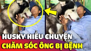 Thấy ÔNG NGOẠI mới đi bệnh viện về, chú Husky liền có HÀNH ĐỘNG khiến ai cũng thương 😍 | Gâu Đần