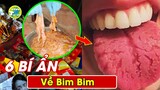 Giải Mã 6 Sự Thật Bí Mật KINH HOÀNG Về Các Loại Bim Bim Nhưng VN Không Hề Hay Biết Vẫn Ăn Hàng Ngày