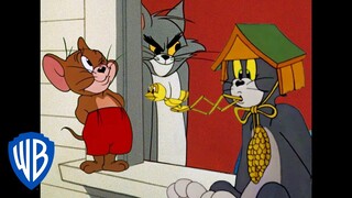 Tom et Jerry en Français 🇫🇷 | Les rois de la malice | WBKids