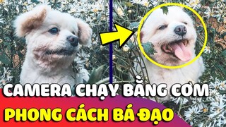 Phát hiện Camera 'CHẠY BẰNG CƠM' ở Đà Lạt, bị vô hiệu hóa nếu kẻ trộm mang theo 'XÚC XÍCH' 😂 Gâu Đần